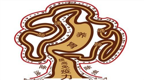 结肠息肉