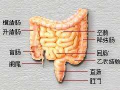 急性肠炎