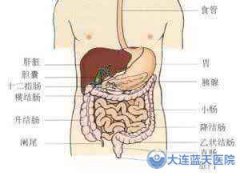 胃痉挛的诊断、预防以及处理措施