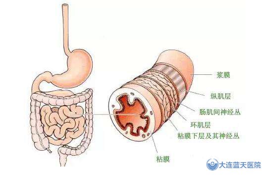 急性肠炎