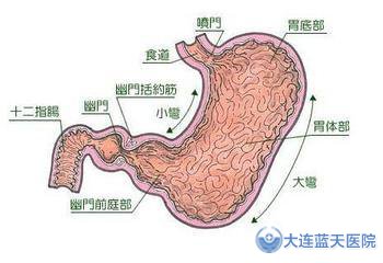 萎缩性胃炎
