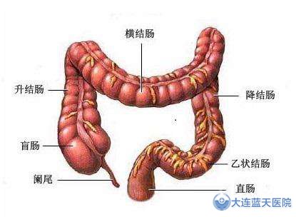 急性肠炎
