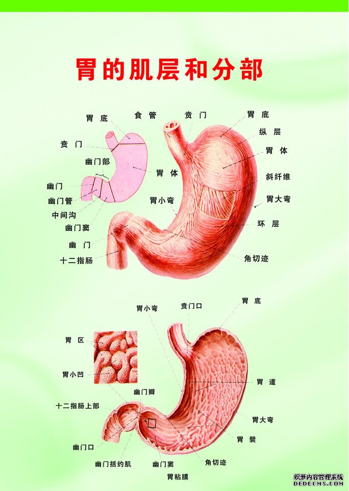 慢性浅表性胃炎患者对于日常饮食该注意什么