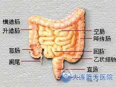 直肠炎病因