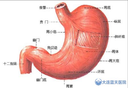 浅表性胃炎的症状