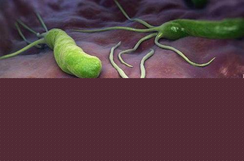 病菌感染也会引起反流性胃炎?大连广誉远胃病医院官网是多少？