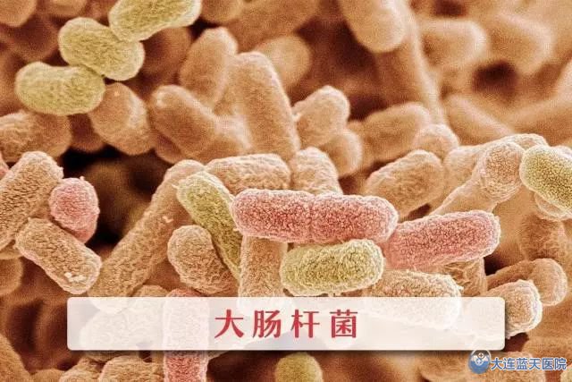 出现口臭这么些年，你找到原因了吗？