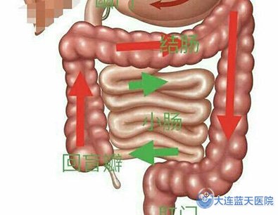 大连广誉远胃病医院解释直肠炎和结肠炎形成原因！
