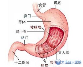 大连胃肠科医院：肠胃痉挛是怎么回事？