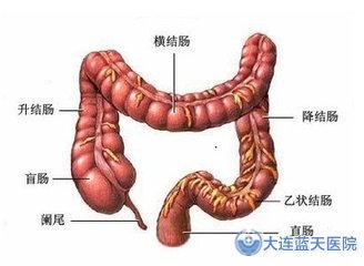 大连胃肠科医院：直肠炎的危害大吗？