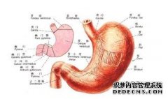 得了胃窦炎能引发哪些危害