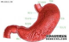 大连哪里能治好糜烂性胃炎